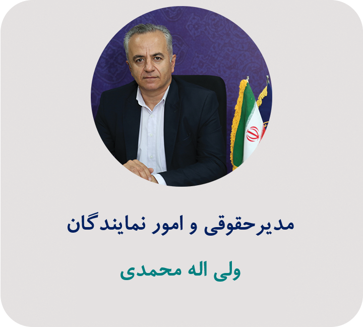 مدیر حقوقی