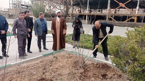 کاشت درخت در اداره کل کمیته امداد استان تهران به مناسبت روز دختکاری - 1403/12/15