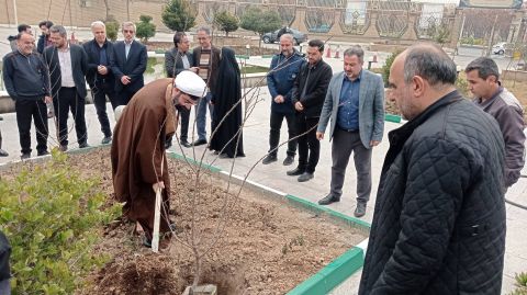 کاشت درخت در اداره کل کمیته امداد استان تهران به مناسبت روز دختکاری - 1403/12/15