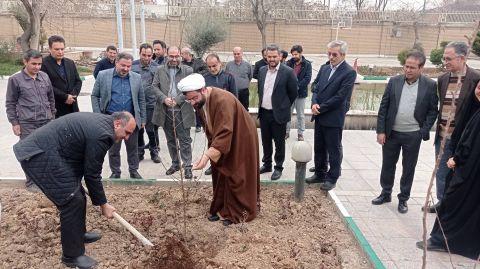 کاشت درخت در اداره کل کمیته امداد استان تهران به مناسبت روز دختکاری - 1403/12/15