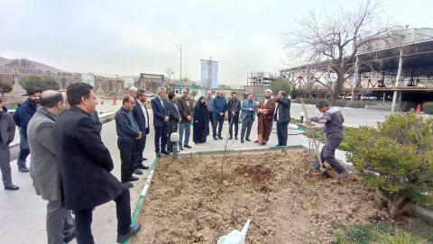 کاشت درخت در اداره کل کمیته امداد استان تهران به مناسبت روز دختکاری - 1403/12/15